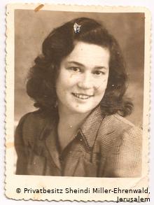 Ein Passfoto von Sheindi Miller-Ehrenwald aus dem Jahr 1947 (Privatbesitz Sheindi Miller-Ehrenwald, Jerusalem )