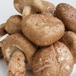 Sagen Sie Ja zu Shiitake-Pilze und stärken Sie Ihre Gesundheit