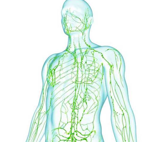 Lymphdrainage